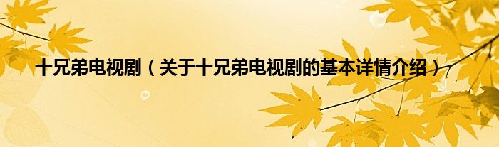 十兄弟电视剧(关于十兄弟电视剧的基本详情介绍)
