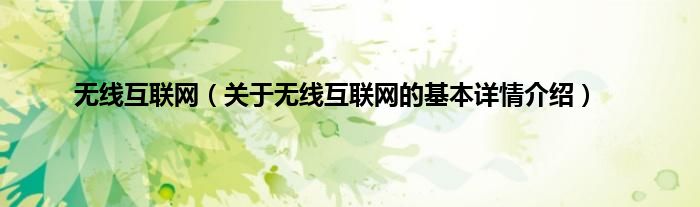 无线互联网（关于无线互联网的基本详情介绍）