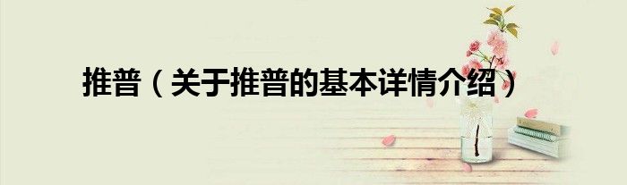 推普（关于推普的基本详情介绍）