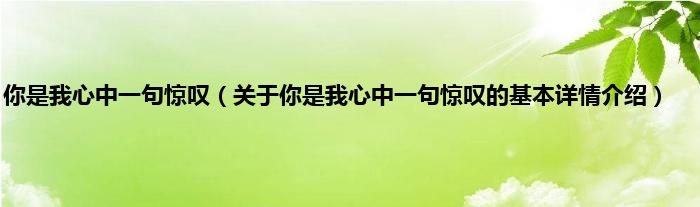 你是我心中一句惊叹(关于你是我心中一句惊叹的基本详情介绍)