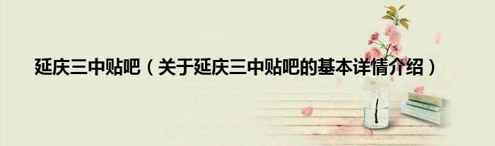 延庆三中贴吧（关于延庆三中贴吧的基本详情介绍）