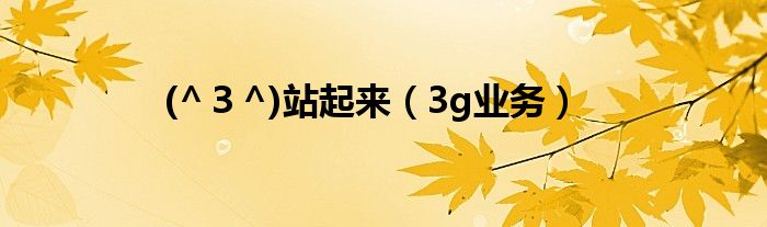 (^３^)站起来（3g业务）