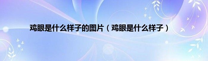 鸡眼是什么样子的图片（鸡眼是什么样子）