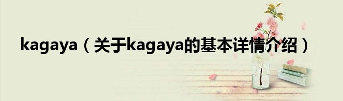 kagaya（关于kagaya的基本详情介绍）