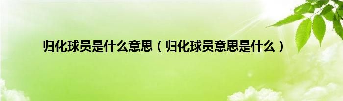 归化球员是什么意思（归化球员意思是什么）