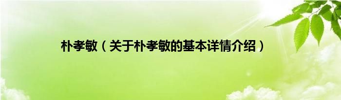 朴孝敏（关于朴孝敏的基本详情介绍）