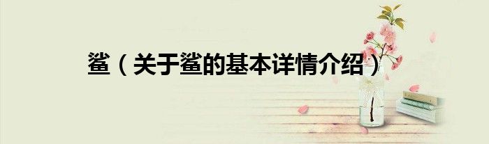 鲨（关于鲨的基本详情介绍）