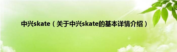 中兴skate（关于中兴skate的基本详情介绍）