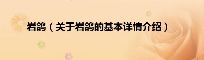 岩鸽（关于岩鸽的基本详情介绍）