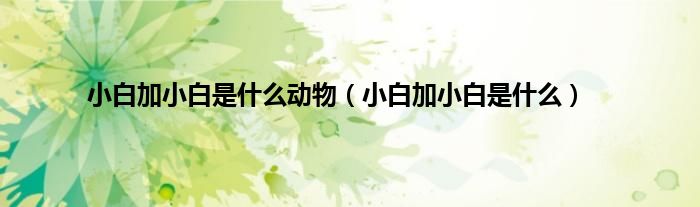 小白加小白是什么动物（小白加小白是什么）