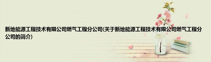 新地能源工程技术有限公司燃气工程分公司(关于新地能源工程技术有限公司燃气工程分公司的简介)