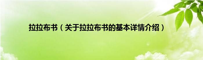 拉拉布书（关于拉拉布书的基本详情介绍）
