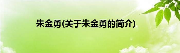 朱金勇(关于朱金勇的简介)