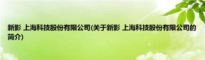 新影 上海科技股份有限公司(关于新影 上海科技股份有限公司的简介)
