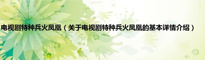 电视剧特种兵火凤凰（关于电视剧特种兵火凤凰的基本详情介绍）