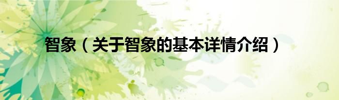 智象（关于智象的基本详情介绍）