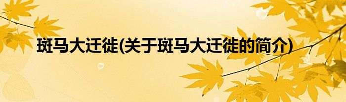斑马大迁徙(关于斑马大迁徙的简介)