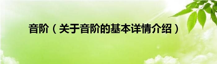 音阶（关于音阶的基本详情介绍）
