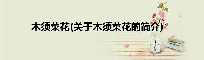 木须菜花(关于木须菜花的简介)