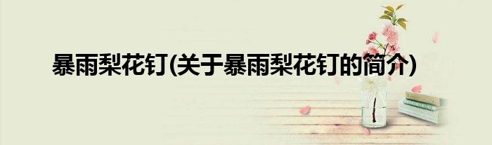 暴雨梨花钉(关于暴雨梨花钉的简介)
