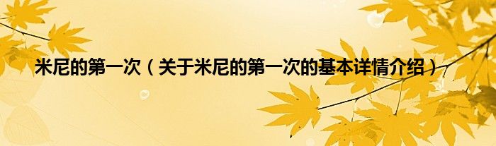 米尼的第一次(关于米尼的第一次的基本详情介绍)