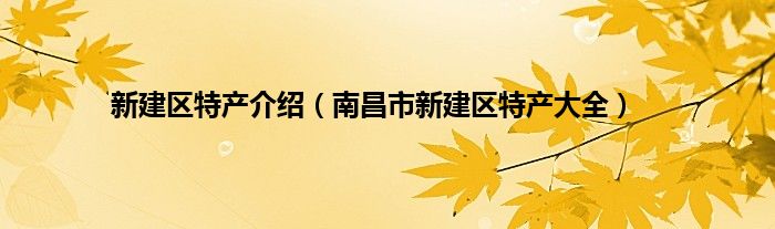 新建区特产介绍（南昌市新建区特产大全）