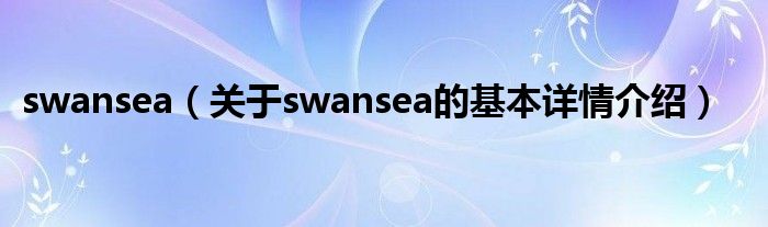 swansea(关于swansea的基本详情介绍)