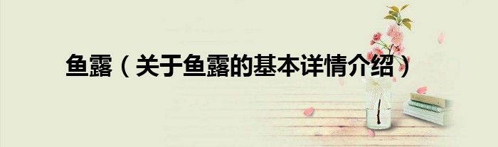 鱼露（关于鱼露的基本详情介绍）
