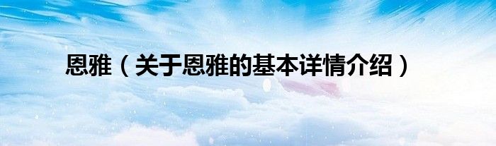 恩雅（关于恩雅的基本详情介绍）