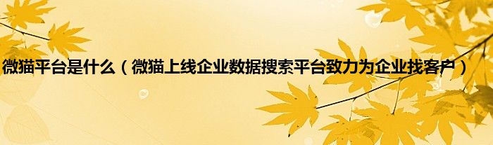 微猫平台是什么（微猫上线企业数据搜索平台致力为企业找客户）
