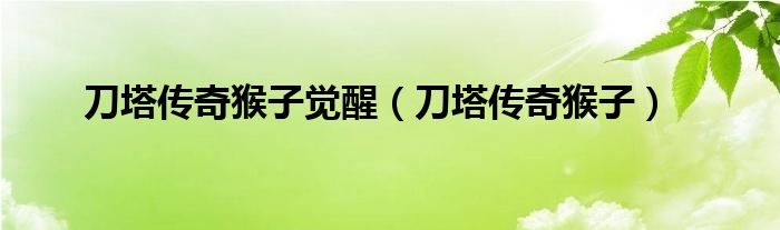 刀塔传奇猴子觉醒（刀塔传奇猴子）