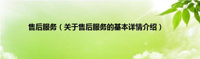 售后服务（关于售后服务的基本详情介绍）