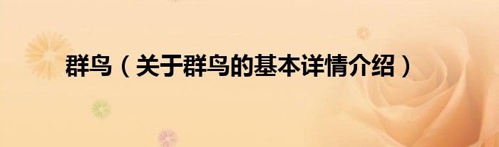 群鸟（关于群鸟的基本详情介绍）