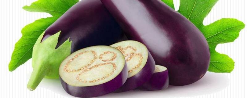 茄子的功效与作用