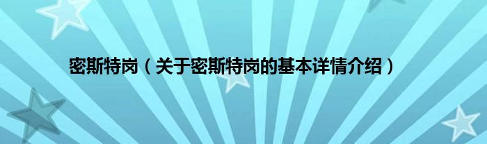 密斯特岗（关于密斯特岗的基本详情介绍）