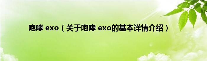 咆哮 exo（关于咆哮 exo的基本详情介绍）