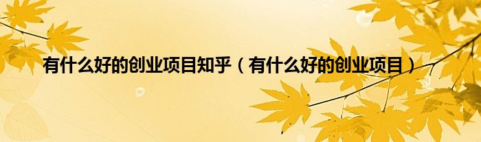 有什么好的创业项目知乎（有什么好的创业项目）