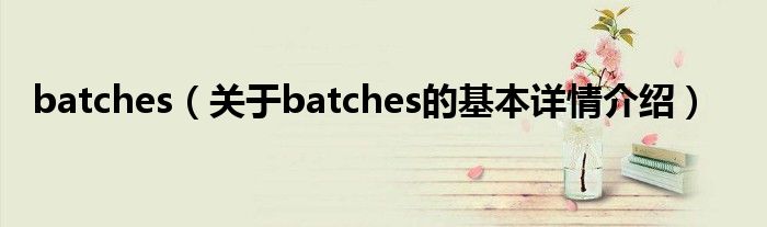 batches（关于batches的基本详情介绍）