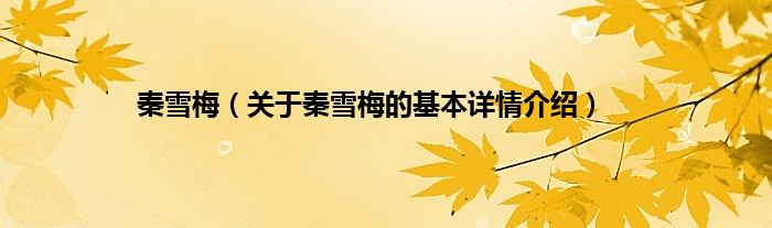 秦雪梅（关于秦雪梅的基本详情介绍）