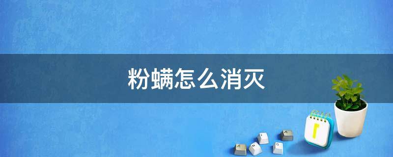 粉螨怎么消灭