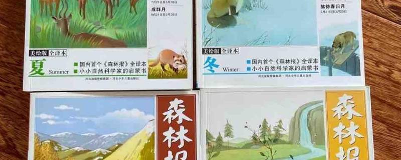 森林报夏的内容