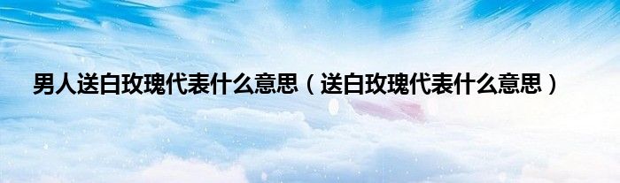 男人送白玫瑰代表什么意思（送白玫瑰代表什么意思）