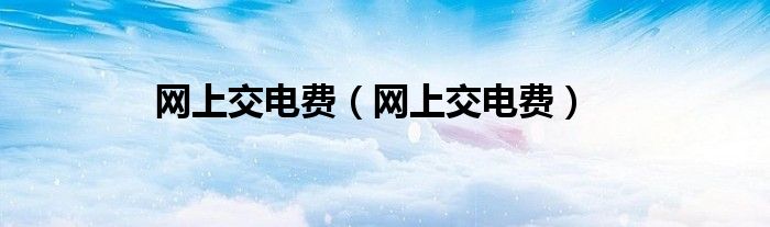 网上交电费（网上交电费）