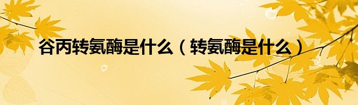 谷丙转氨酶是什么（转氨酶是什么）