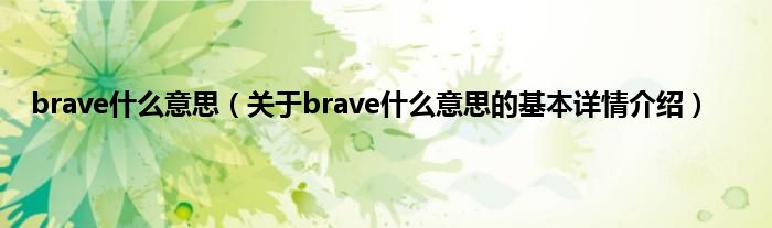 brave什么意思（关于brave什么意思的基本详情介绍）