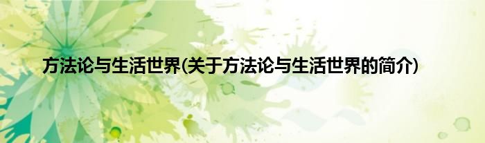 方法论与生活世界(关于方法论与生活世界的简介)