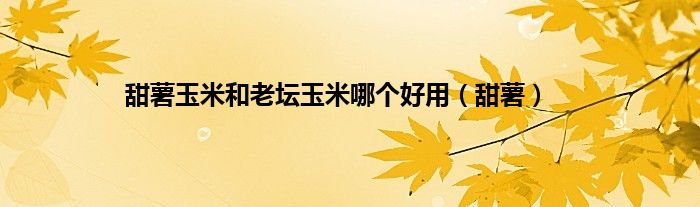 甜薯玉米和老坛玉米哪个好用（甜薯）