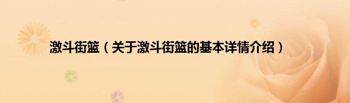 激斗街篮（关于激斗街篮的基本详情介绍）