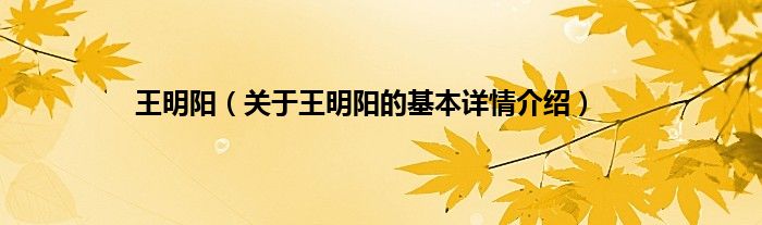 王明阳（关于王明阳的基本详情介绍）