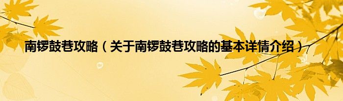 南锣鼓巷攻略(关于南锣鼓巷攻略的基本详情介绍)
